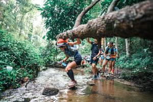 BIB: 
                            <button type="button" onclick="openModal(25370275)" class="btn btn-primary btn-sm float-right btn-popup" data-toggle="modal" data-target=".modal-high-quality">
                        <i class="fas fa-shopping-cart"></i> Add to Cart
                    </button>
                                            <button type="button" onclick="isThisMe(25370275, true)" class="btn btn-success btn-sm float-right btn-popup btn-isme hidden" data-toggle="tooltip" data-placement="bottom" title="นี่คือรูปของคุณใช่ไหม คลิกที่นี่เพื่อเอาเข้าอัลบั้ม">
                        <i class="fas fa-plus"></i> Add to album
                    </button>
                    <button type="button" onclick="isThisMe(25370275, false)" class="btn btn-warning btn-sm float-right btn-popup btn-isnotme hidden">
                        <i class="fas fa-ban"></i> Remove from album
                    </button>